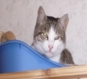 Benutzeravatar