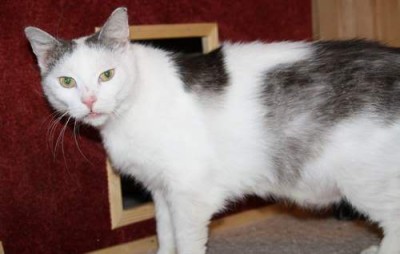 arthur1.jpg (16.18 KiB) 7663-mal betrachtet arthur1.jpg