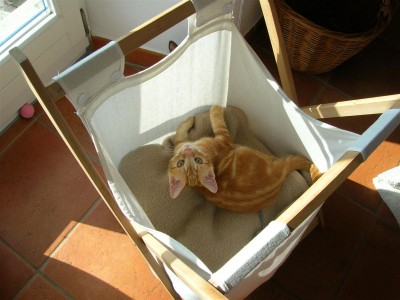 DSCN1154 (Custom).JPG