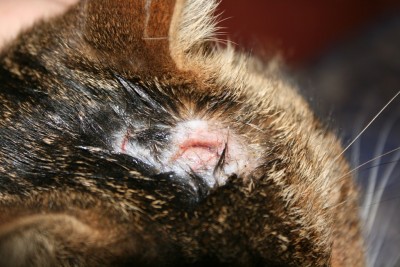 IMG_2616.JPG (386.76 KiB) 6067-mal betrachtet IMG_2616.JPG