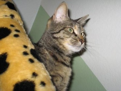 Maggie.JPG (30.45 KiB) 5559-mal betrachtet Maggie.JPG