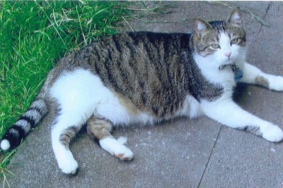 Charly_Astrid.jpg (67.15 KiB) 4618-mal betrachtet Charly_Astrid.jpg