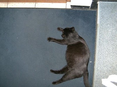 BILD3667.jpg