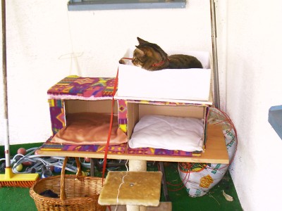 IMAG0080.JPG