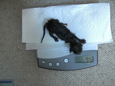 BILD3723.jpg
