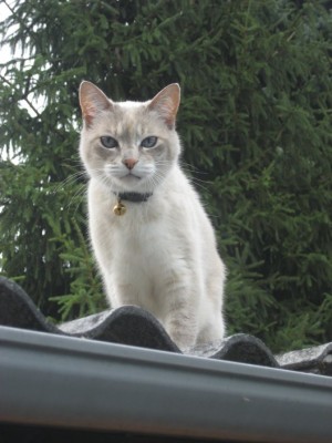 IMG_3045_1.jpg (63.82 KiB) 31374-mal betrachtet IMG_3045_1.jpg