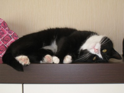 IMG_1682.JPG (756.84 KiB) 8513-mal betrachtet IMG_1682.JPG