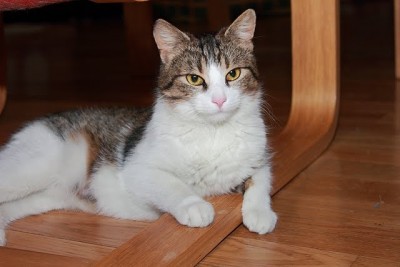 Greta23.JPG (45.24 KiB) 8523-mal betrachtet Greta23.JPG