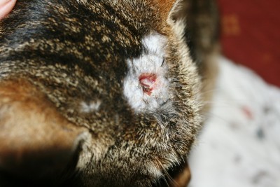 IMG_2862.JPG (212.68 KiB) 6463-mal betrachtet IMG_2862.JPG