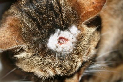 IMG_2863.JPG (276.68 KiB) 6647-mal betrachtet IMG_2863.JPG