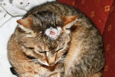 IMG_2864.JPG (226.18 KiB) 6456-mal betrachtet IMG_2864.JPG