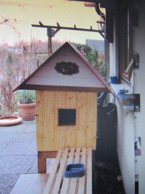 IMG_1752.JPG (110.71 KiB) 4559-mal betrachtet IMG_1752.JPG