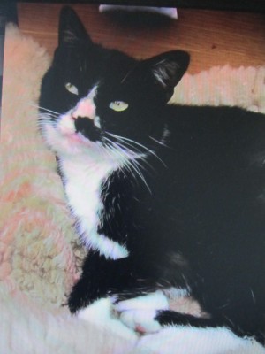 IMG_1754.JPG (83.4 KiB) 4410-mal betrachtet IMG_1754.JPG