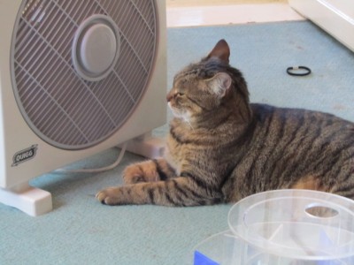 IMG_1774.JPG (103.99 KiB) 4555-mal betrachtet IMG_1774.JPG