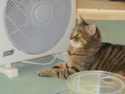 IMG_1773.JPG (116 KiB) 5013-mal betrachtet IMG_1773.JPG