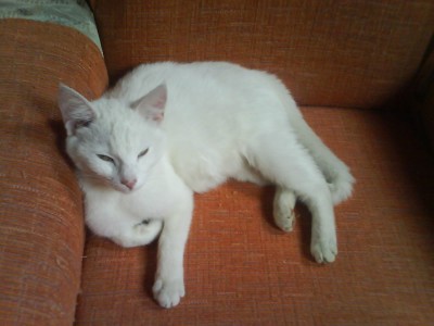 DSC00054.JPG (167.17 KiB) 18497-mal betrachtet DSC00054.JPG