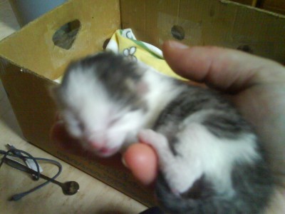 DSC00066.JPG (193.14 KiB) 18502-mal betrachtet DSC00066.JPG