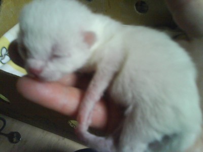 DSC00067.JPG (132.17 KiB) 18500-mal betrachtet DSC00067.JPG