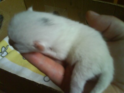 DSC00068.JPG (126.01 KiB) 18503-mal betrachtet DSC00068.JPG