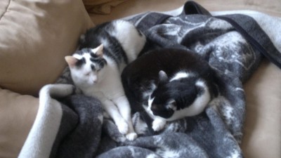 20062011639.JPG