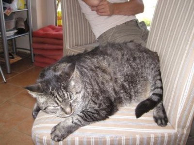Bild 032.jpg