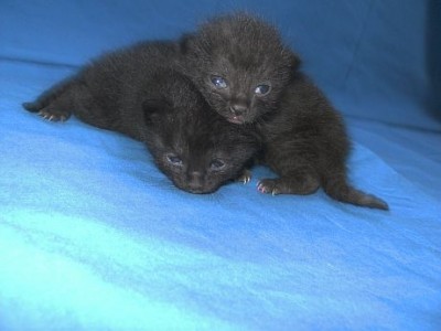 BILD4806.jpg