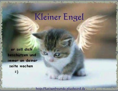 engel.PNG