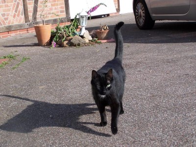 K800_105_2036.JPG (116.9 KiB) 5505-mal betrachtet K800_105_2036.JPG