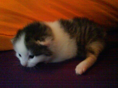 DSC00127.JPG (276.72 KiB) 26252-mal betrachtet DSC00127.JPG