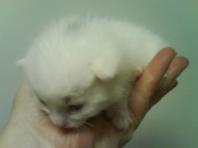 DSC00112.JPG (123.45 KiB) 26227-mal betrachtet DSC00112.JPG