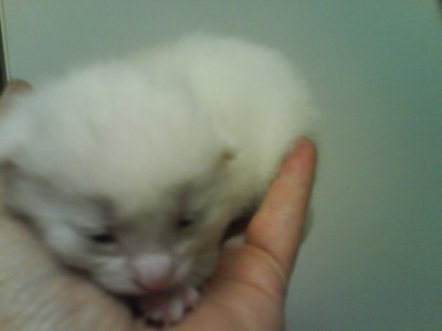 DSC00110.JPG (114.36 KiB) 26743-mal betrachtet DSC00110.JPG