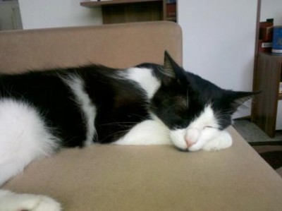 2011-06-13_14-12-24_625.jpg (15.66 KiB) 26763-mal betrachtet 2011-06-13_14-12-24_625.jpg