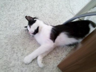 2011-06-23_10-27-17_722.jpg (19.48 KiB) 26758-mal betrachtet 2011-06-23_10-27-17_722.jpg