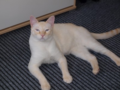 P5041075.JPG (1010.05 KiB) 19651-mal betrachtet P5041075.JPG