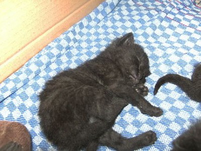 BILD5095.jpg