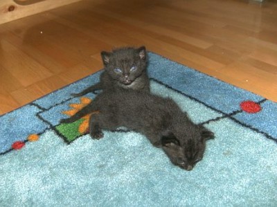 BILD5299.jpg