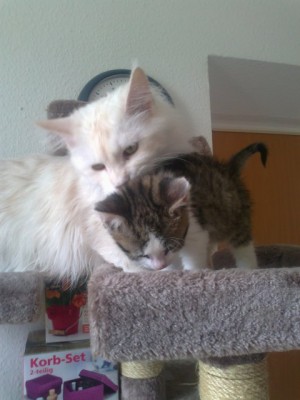 d9b9794e.l.jpg (47.96 KiB) 39847-mal betrachtet d9b9794e.l.jpg