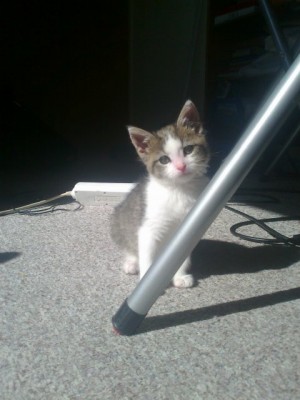 a70d4838.l.jpg (49.78 KiB) 39838-mal betrachtet a70d4838.l.jpg