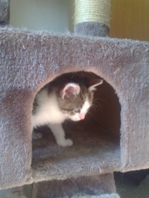 1ce8bd10.l.jpg (53.99 KiB) 40186-mal betrachtet 1ce8bd10.l.jpg