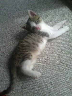 e985c38a.l.jpg (76.2 KiB) 40214-mal betrachtet e985c38a.l.jpg