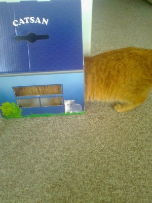 fd73b397.l.jpg (67.54 KiB) 39841-mal betrachtet fd73b397.l.jpg