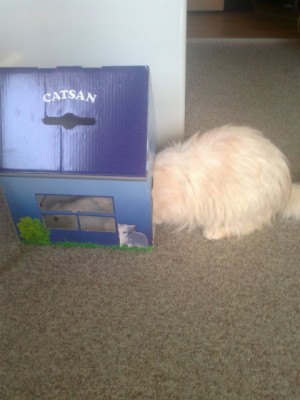 0b7707b9.l.jpg (48.83 KiB) 39860-mal betrachtet 0b7707b9.l.jpg