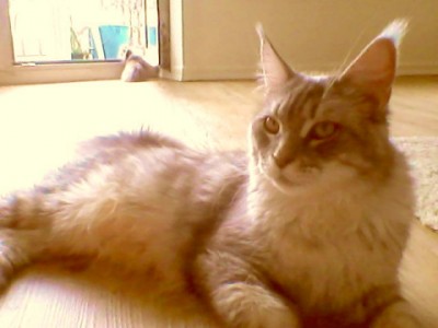 Snapshot_20110708_4.jpg (40.97 KiB) 26710-mal betrachtet Snapshot_20110708_4.jpg