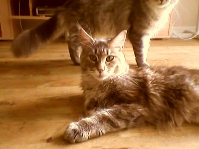 Snapshot_20110708_20.jpg (70.19 KiB) 26705-mal betrachtet Snapshot_20110708_20.jpg