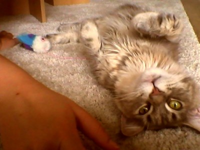 Snapshot_20110708_19.jpg (66.58 KiB) 26698-mal betrachtet Snapshot_20110708_19.jpg