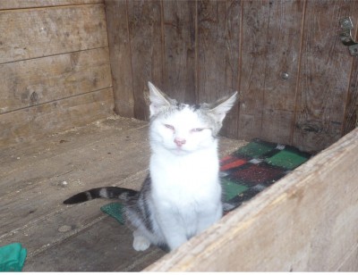 Thea.jpg (246.25 KiB) 16615-mal betrachtet Thea.jpg