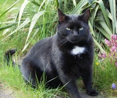 Paddy3_bearbeitet.jpg (67.64 KiB) 5931-mal betrachtet Paddy3_bearbeitet.jpg