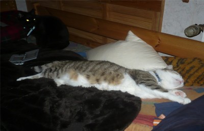 Ohne Worte^^.jpg