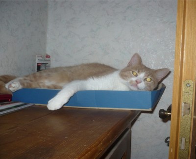 Was guckst du.jpg (241.14 KiB) 22007 mal betrachtet Was guckst du? (Francis)