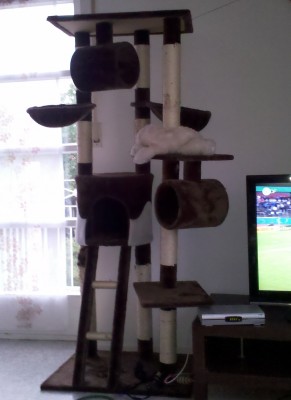 073111201833.jpg (422.79 KiB) 4984-mal betrachtet 073111201833.jpg